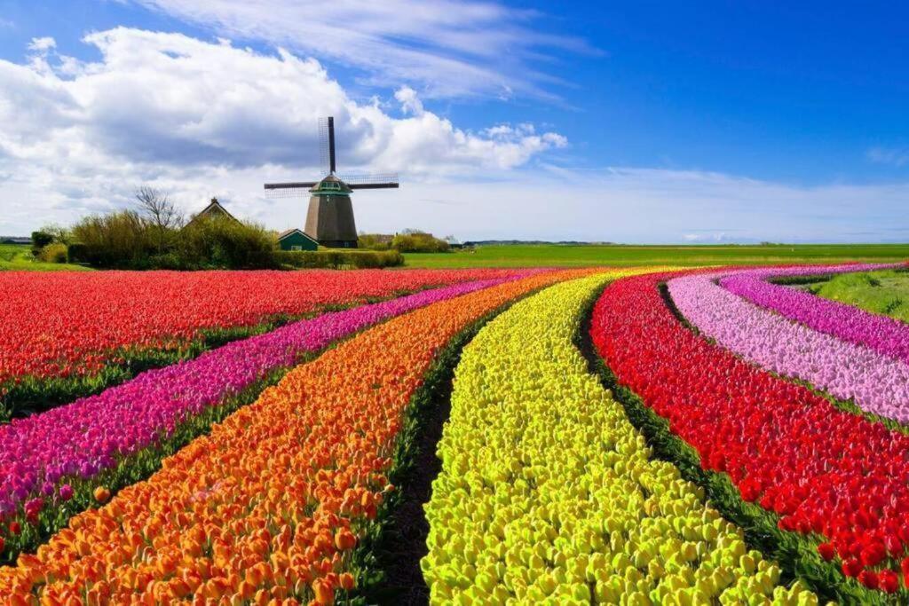 Gastenverblijf Janssen In ซาเกน ภายนอก รูปภาพ